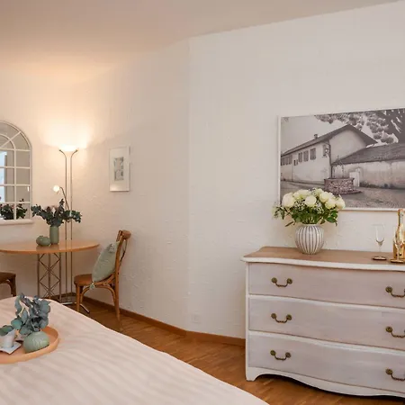 Apartman Double Classic-8 By Interhome Ascona